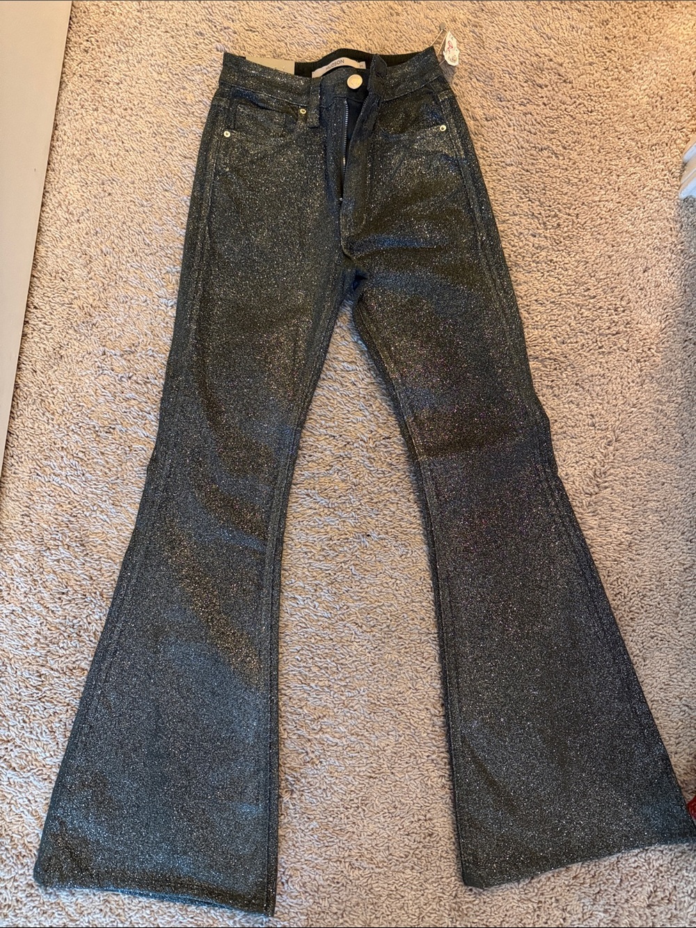 Hudson Black Glitter Flared Pants